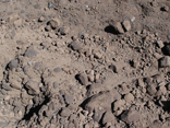 Bulk materials handling